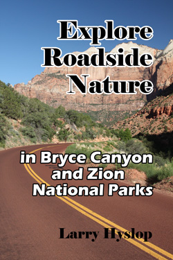 Explore Roadside Nature - Zion and Bryce Canyon Cover